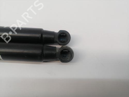 Tailgate lift support FORD KA (RU8) 1.3 TDCi | BP29904299C138 