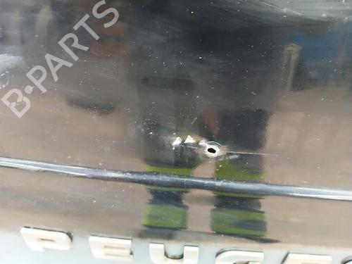 Left tailgate PEUGEOT BOXER Bus (244, Z_)  | BP29907889C76