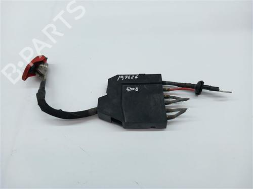 Used Cable Cable PEUGEOT 5008 II (MC_, MJ_, MR_, M4_) 1.5 BlueHDi 130 (MCYHZJ, MCYHZR, MCYHZX) (131 hp) 29720156 29720156