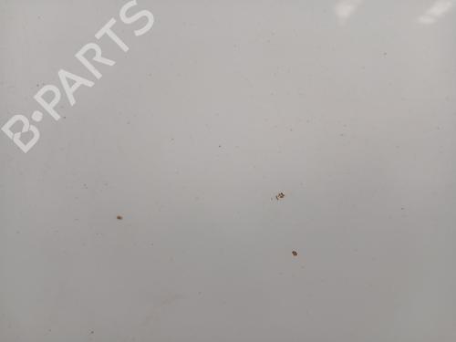Hood FORD TRANSIT CONNECT MPV  | BP29531868C1 