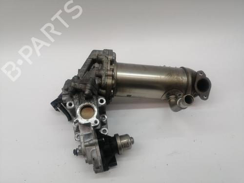 Egr FORD TRANSIT CUSTOM V362 Van (FY, FZ) | BP30749042M69