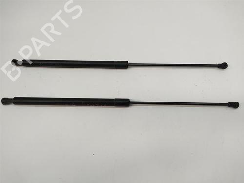 hood-lift-support-citroen-c6-td_-2005-2006-2007-2008-2009-2010-2011-2012-29335233 main image