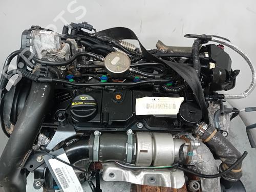 Used Engine FORD FOCUS III [2010-2020]  23891692