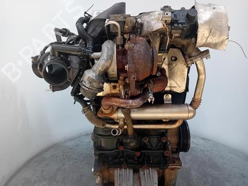 Engine SEAT IBIZA III (6L1) | BP31803492M1