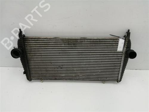 Intercooler Intercooler CITROËN C6 (TD_) 2.7 HDi (204 hp) 22746621 22746621