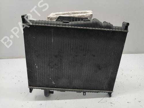 Water radiator LAND ROVER RANGE ROVER SPORT I (L320) 3.0 D 4x4 | BP30482036M31