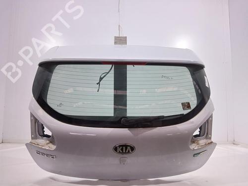 Used Tailgate Tailgate 37594608 37594608