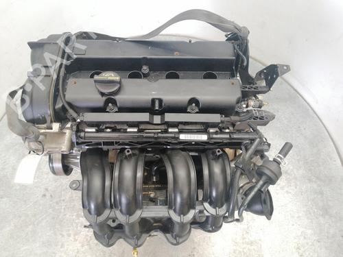 Motore FORD FIESTA VI (CB1, CCN) 1.25 (82 hp) 31123743