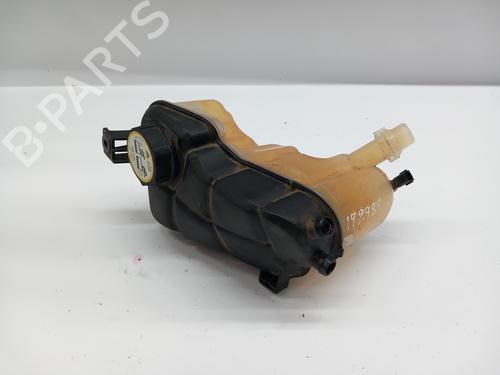 Expansion tank LAND ROVER RANGE ROVER EVOQUE (L538)  | BP21263118C120 