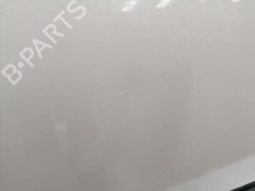 Right rear door FIAT PANDA VAN (312_, 519_) 1.2 LPG (312CXA1A) | BP29813833C5 