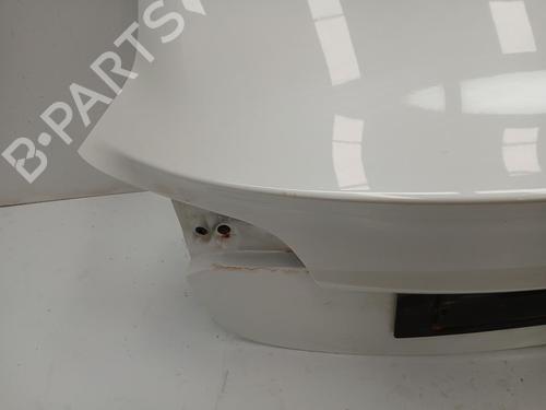 Tailgate TESLA MODEL 3 (5YJ3)  | BP29807317C6 