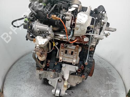 Engine RENAULT SCÉNIC III (JZ0/1_)  | BP34008367M1  - Image 6