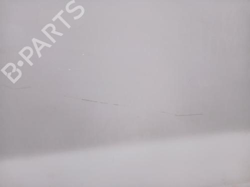 Left front door OPEL VIVARO A Van (X83)  | BP28690787C2 