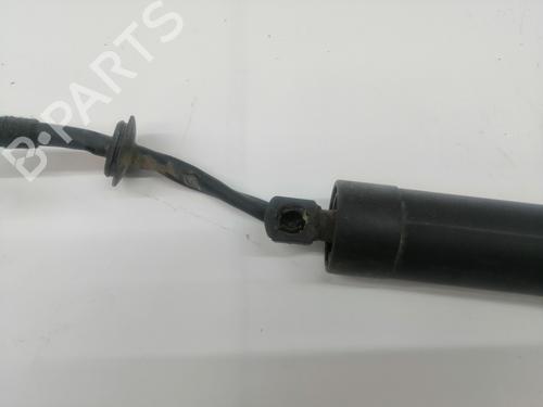 Tailgate lift support OPEL GRANDLAND / GRANDLAND X (A18, P1UO) 1.5 Turbo D (75) | BP28152896C138 