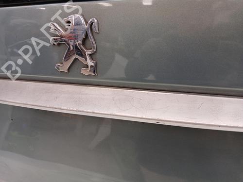 Tailgate PEUGEOT 307 Break (3E) 2.0 | BP24514610C6 