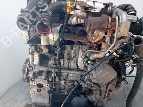 Motor FORD FIESTA VI (CB1, CCN)  | BP29904218M1