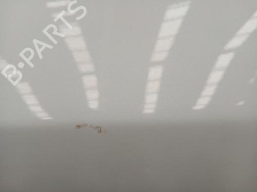 Left rear door TESLA MODEL 3 (5YJ3)  | BP29546901C4 