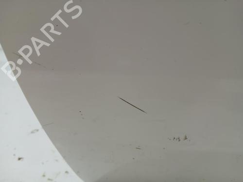 Portier rechts voor FIAT DOBLO Platform/Chassis (263_) 1.3 D Multijet | BP30699211C3