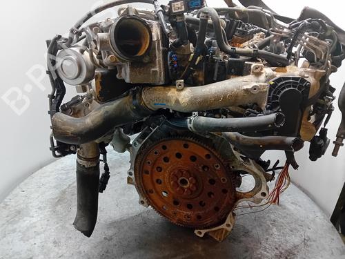 Engine HONDA CR-V III (RE_)  | BP28386529M1 