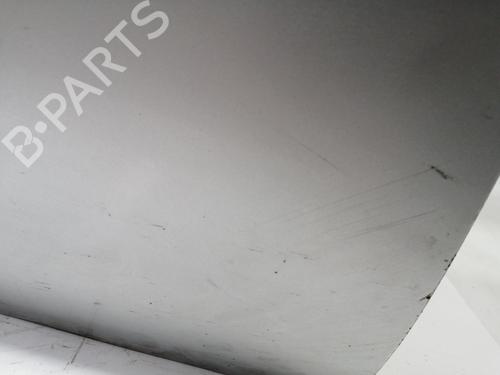 Left front door FORD FIESTA IV (JA_, JB_) 1.8 D | BP18142124C2 