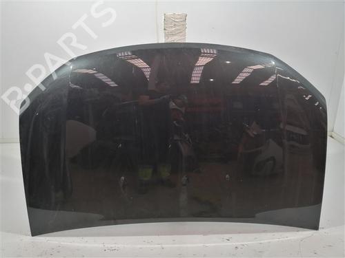 hood-dacia-logan-mcv-ii-2013-28825887 main image