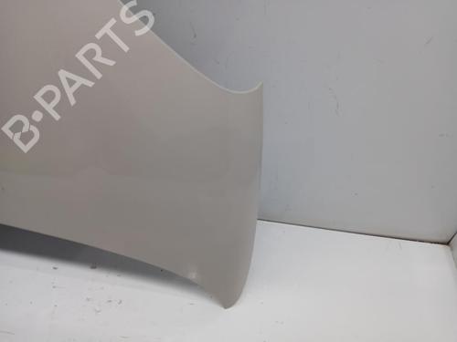 Hood FIAT PANDA VAN (312_, 519_) 1.2 LPG (312CXA1A) | BP29851931C1