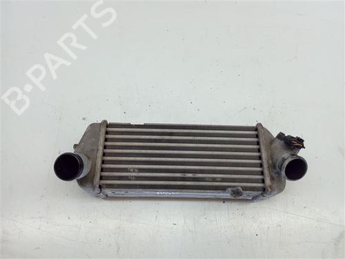 Used Intercooler Intercooler 12519559 12519559