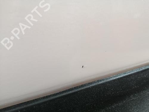 Left rear door FIAT PANDA VAN (312_, 519_) 1.2 LPG (312CXA1A) | BP29813834C4 