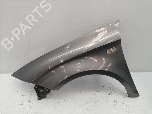 Used Left front fenders SEAT TOLEDO III (5P2) [2004-2009]  30436608