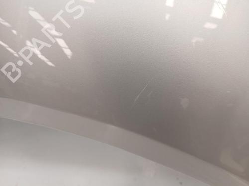 Right front fenders MERCEDES-BENZ S-CLASS (W221, V221)  | BP29591926C42 