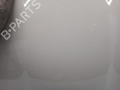 Hood FIAT PANDA VAN (312_, 519_) 1.2 LPG (312CXA1A) | BP29851931C1