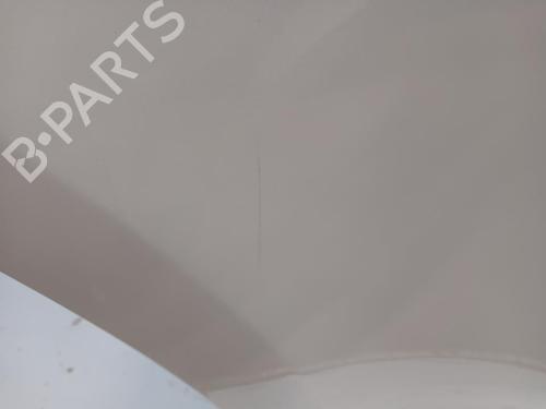 Right rear door TESLA MODEL Y (5YJY)  | BP30322818C5 