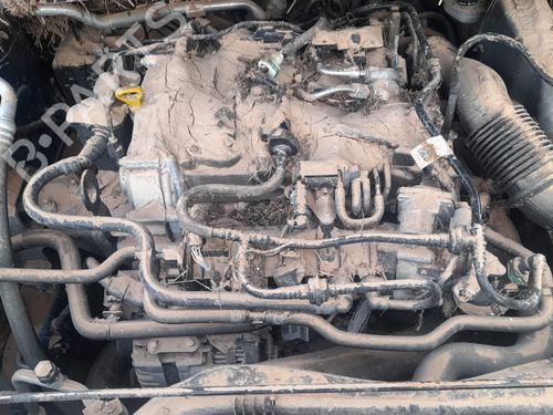 - Image 6