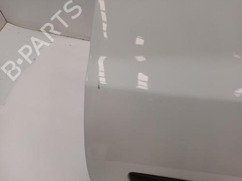 Left front door RENAULT CLIO III (BR0/1, CR0/1) 1.5 dCi (BR17, CR17) | BP29393510C2 