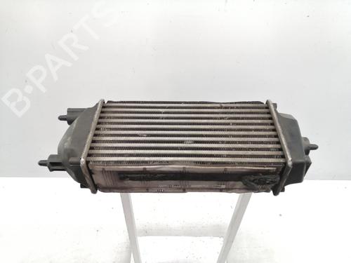 Intercooler FORD FIESTA VI (CB1, CCN) 1.0 EcoBoost (100 hp) 17043250