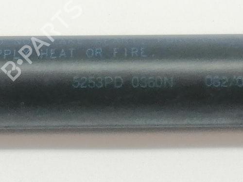 Tailgate lift support NISSAN MICRA III (K12)  | BP29430681C138 