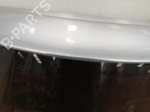 Tailgate MINI MINI (R50, R53) Cooper S | BP25721231C6 