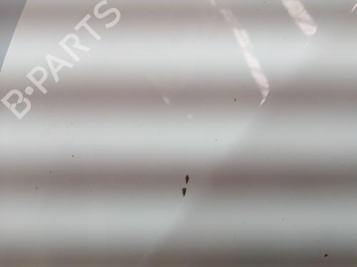 Hood MERCEDES-BENZ A-CLASS (W177) A 200 d (177.012) | BP29727404C1 
