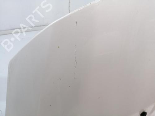 Hood PEUGEOT 3008 I MPV (0U_) 1.6 HDi | BP29137938C1 