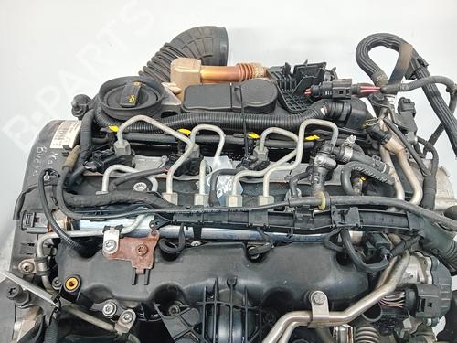 Used Engine SEAT EXEO (3R2) [2008-2013]  28289301