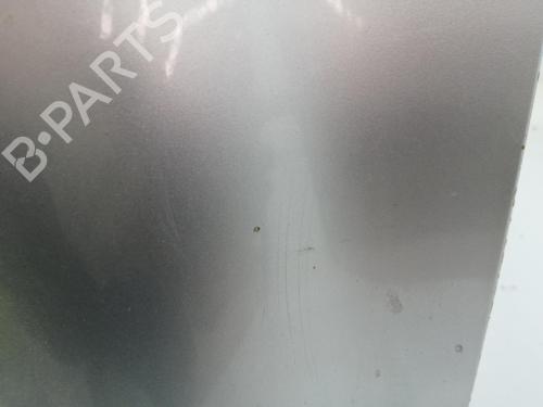Hood RENAULT SCÉNIC III (JZ0/1_)  | BP28470815C1 