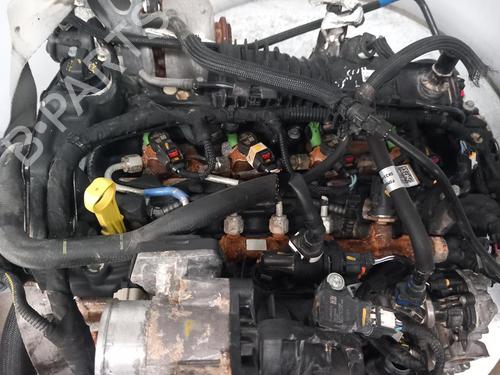 Used Engine FORD TRANSIT V363 Platform/Chassis (FED, FFD) [2013-2025]  31059935