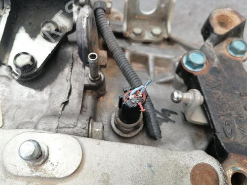 Gearbox NISSAN X-TRAIL II (T31)  | BP29748796M3 