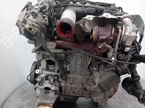 Engine FORD FIESTA VI (CB1, CCN) 1.6 TDCi | BP29904238M1 