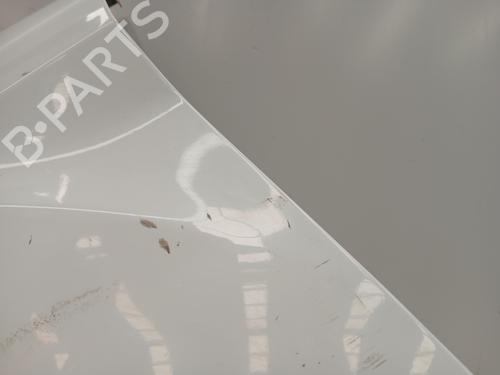 Left front fenders FORD FIESTA VI (CB1, CCN) 1.4 TDCi | BP27160372C41 
