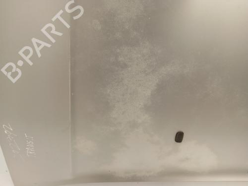 Hood FORD TRANSIT CONNECT (P65_, P70_, P80_) 1.8 Di | BP27816431C1 