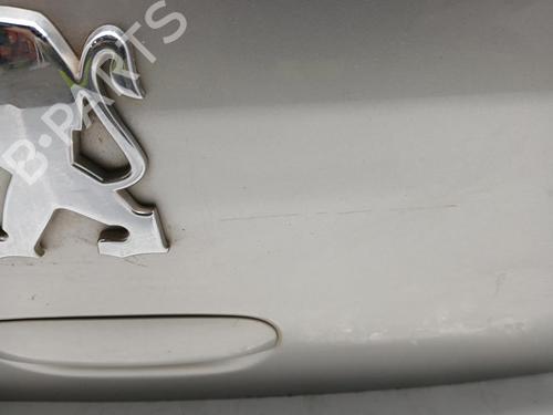 Tailgate PEUGEOT 307 (3A/C)  | BP29810824C6 