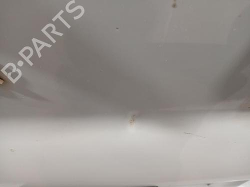 Left tailgate NISSAN PRIMASTAR Bus (X83) | BP32215821C76