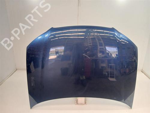 hood-audi-a3-8p1-2003-2004-2005-2006-2007-2008-2009-2010-2011-2012-2013-38648558 main image