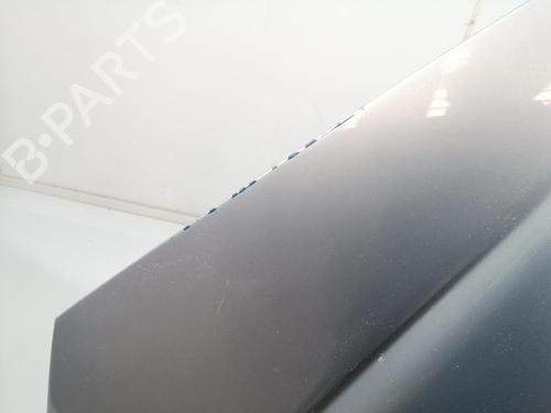 Hood PEUGEOT 206 Hatchback (2A/C) 2.0 HDI 90 | BP29589539C1 